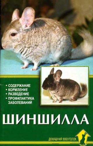 Шиншилла