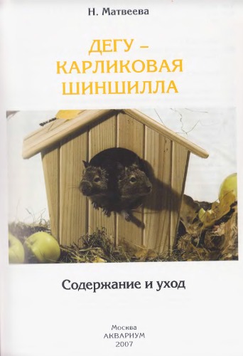 Дегу - карликовая шиншилла