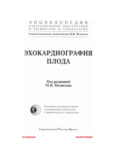 Эхокардиография плода
