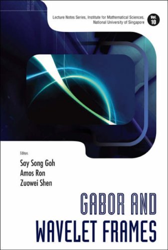 Gabor and wavelet frames