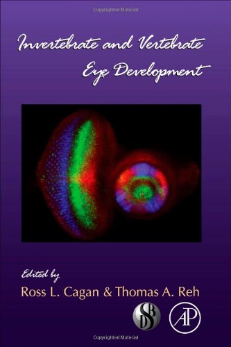 Invertebrate and Vertebrate Eye Development