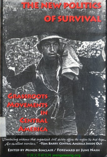 The new politics of survival: grassroots movements in Central America