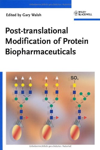 Post-translational Modification of Protein Biopharmaceuticals