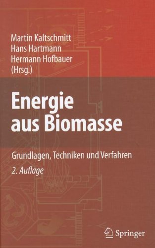 Energie aus Biomasse: Grundlagen, Techniken und Verfahren