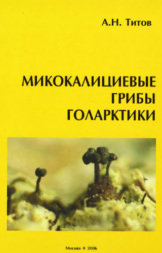 Микокалициевые грибы (порядок Mycocalyciales) Голарктики