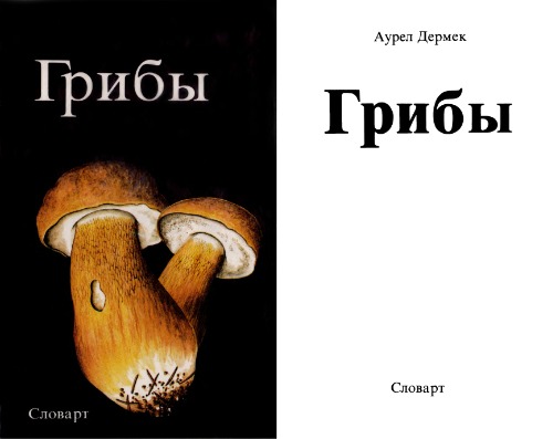 Грибы.