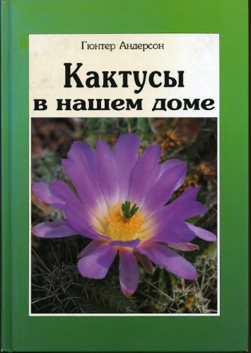 Кактусы в нашем доме