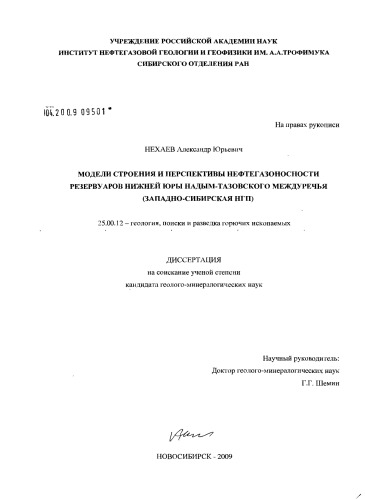Модели строения и перспективы нефтегазоносности резервуаров нижней юры Надым-Тазовского междуречья