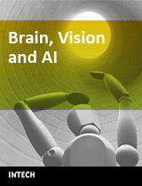 Brain, Vision and AI