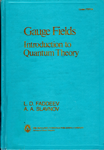 Gauge fields, introduction to quantum theory