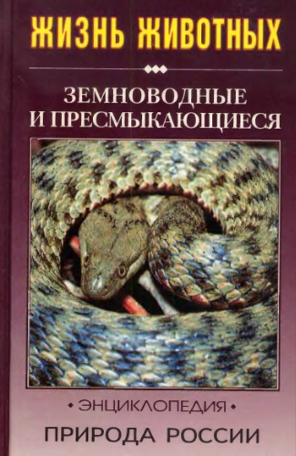 Природа России. Жизнь животных. Земноводные и пресмыкаюшчиеся.