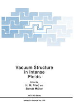 Vacuum Structure in Intense Fields