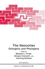 The Neocortex: Ontogeny and Phylogeny
