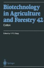 Cotton